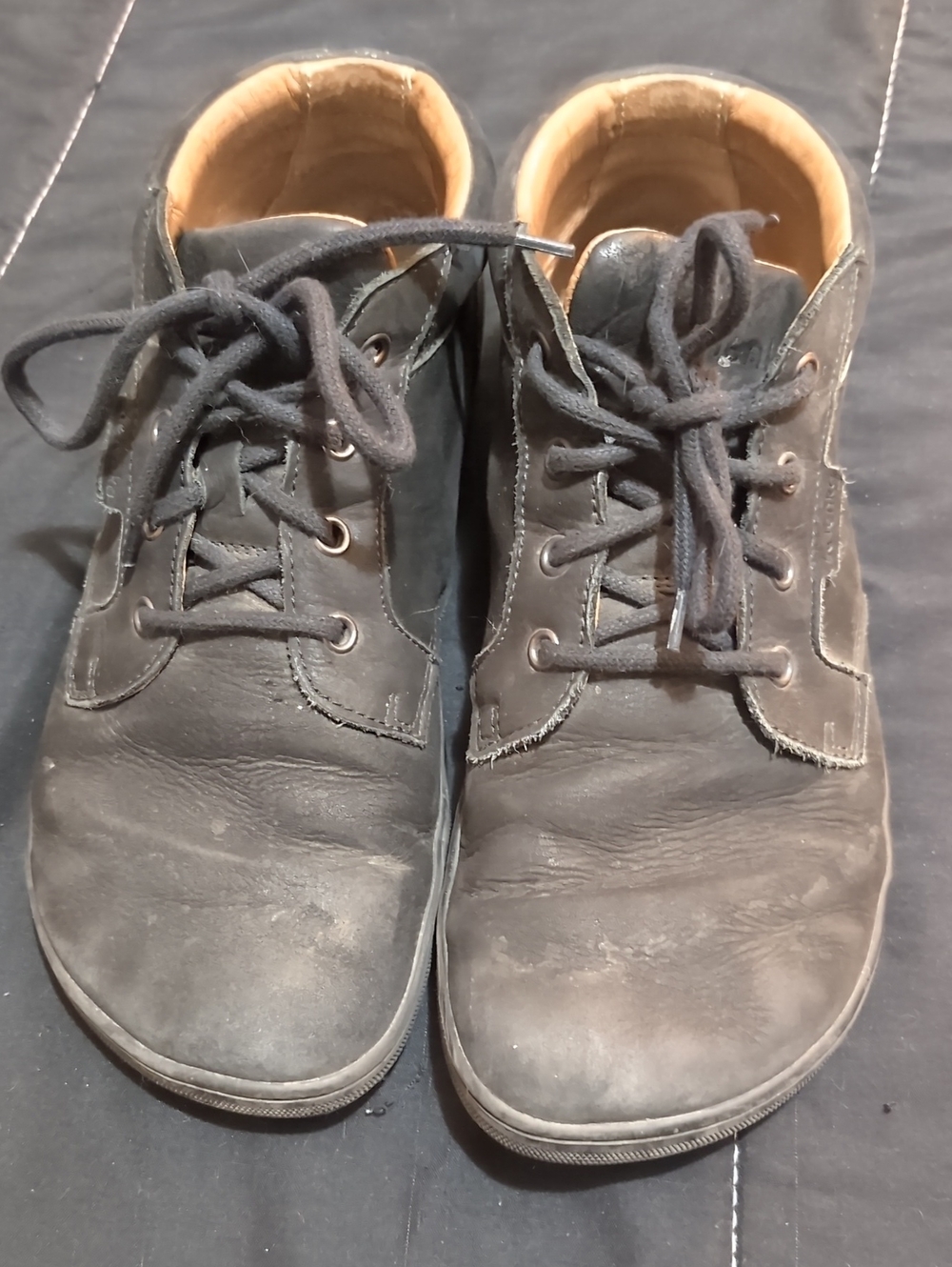 Be Lenka Synergy Leather Lace Up High Tops